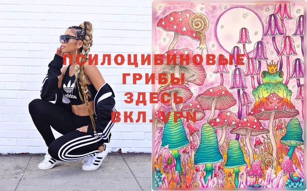 тгк Зеленодольск